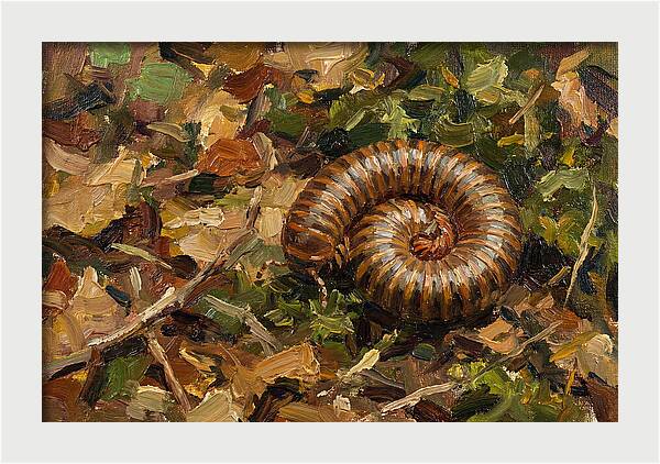Millipede Among Autumn Leaves