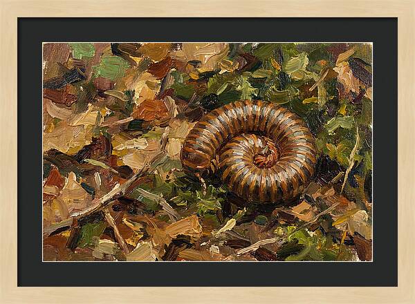 Millipede Among Autumn Leaves