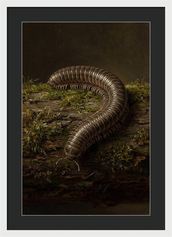 Millipede On Mossy Log