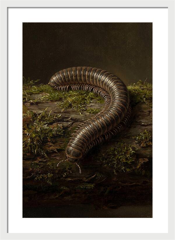 Millipede On Mossy Log