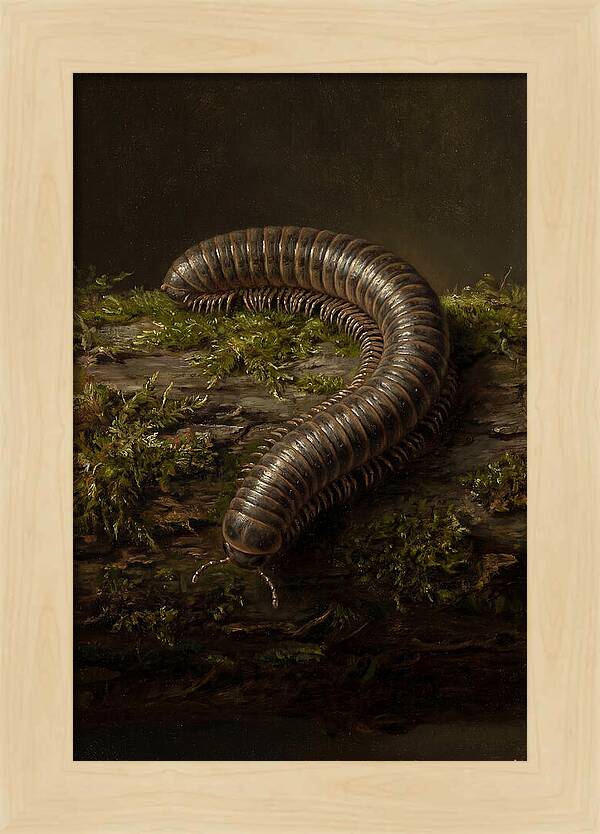 Millipede On Mossy Log