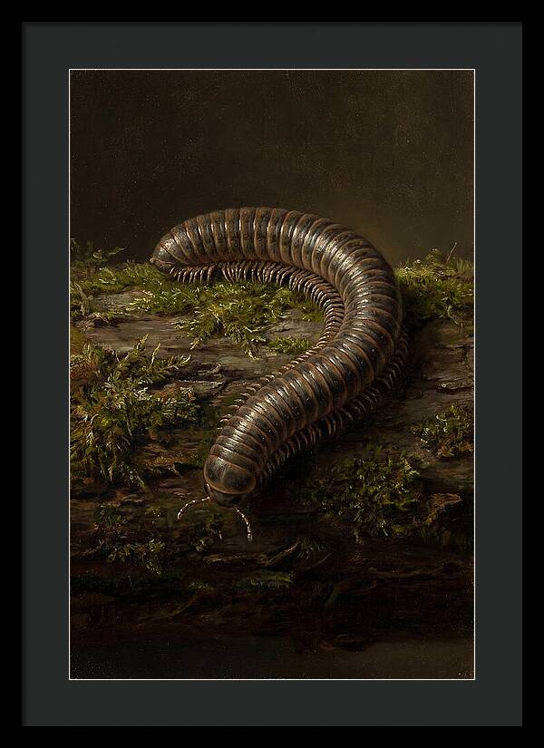 Millipede On Mossy Log