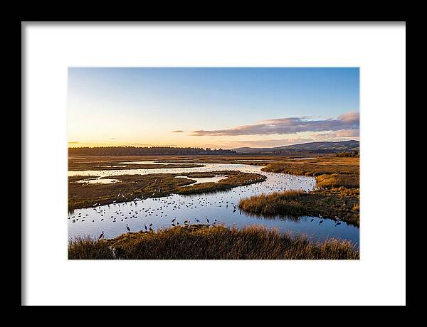 Mingo Wetland Refuge Vista