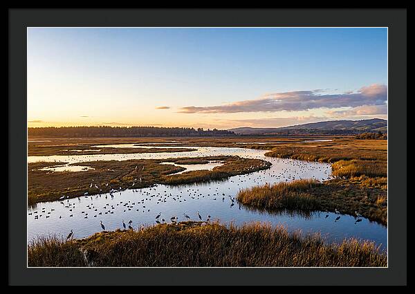 Mingo Wetland Refuge Vista