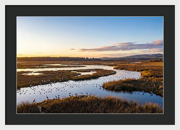 Mingo Wetland Refuge Vista