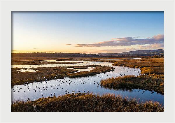 Mingo Wetland Refuge Vista