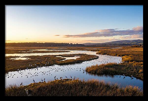 Mingo Wetland Refuge Vista