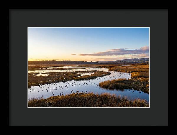Mingo Wetland Refuge Vista