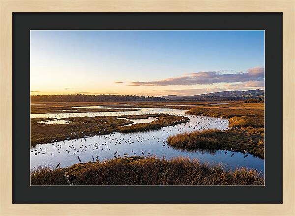 Mingo Wetland Refuge Vista