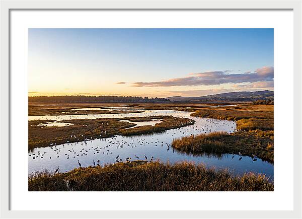 Mingo Wetland Refuge Vista