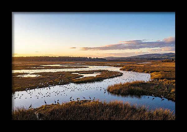 Mingo Wetland Refuge Vista