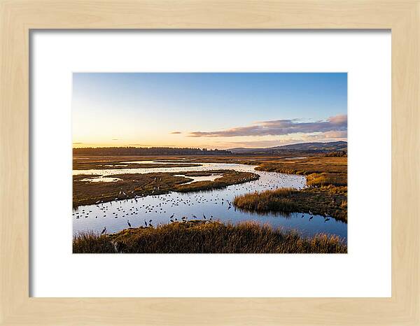 Mingo Wetland Refuge Vista