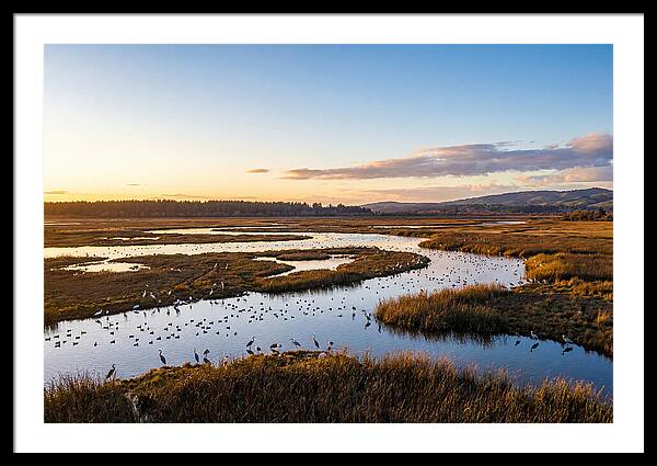 Mingo Wetland Refuge Vista
