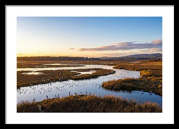 Mingo Wetland Refuge Vista