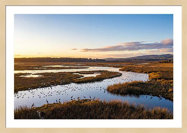 Mingo Wetland Refuge Vista