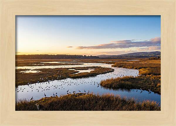 Mingo Wetland Refuge Vista