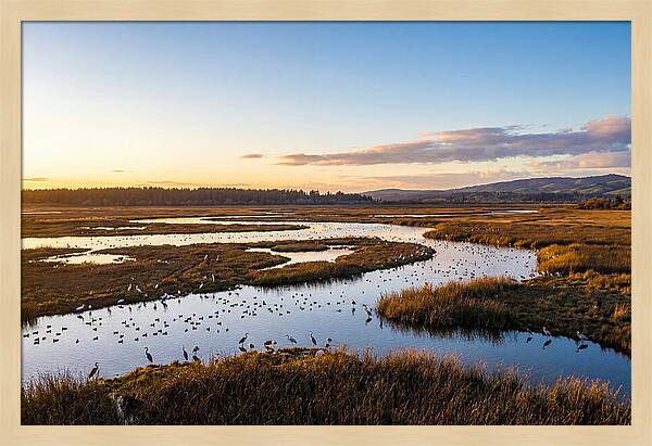 Mingo Wetland Refuge Vista
