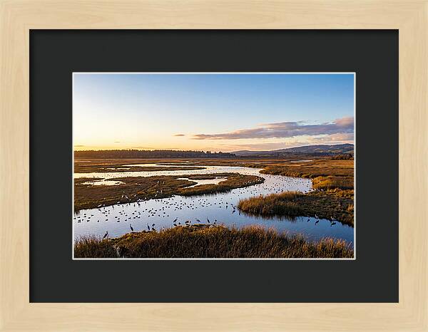 Mingo Wetland Refuge Vista