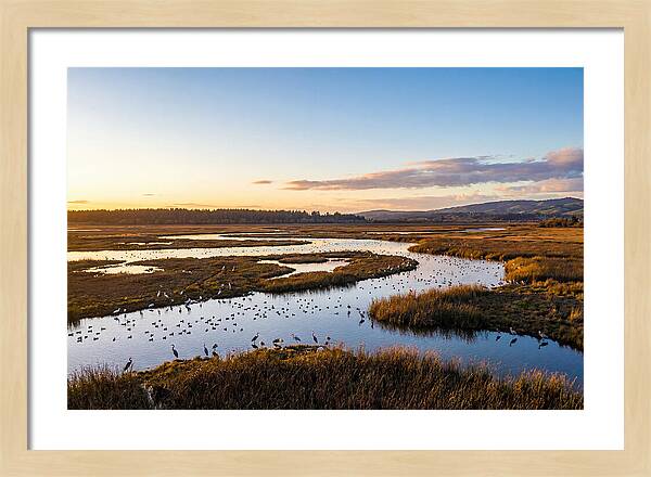 Mingo Wetland Refuge Vista