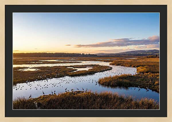 Mingo Wetland Refuge Vista