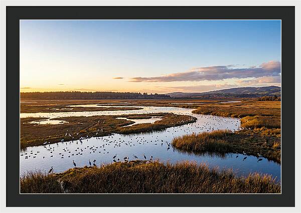 Mingo Wetland Refuge Vista