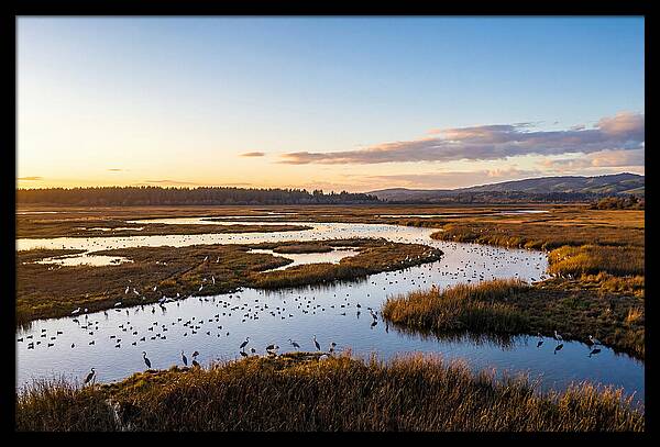 Mingo Wetland Refuge Vista