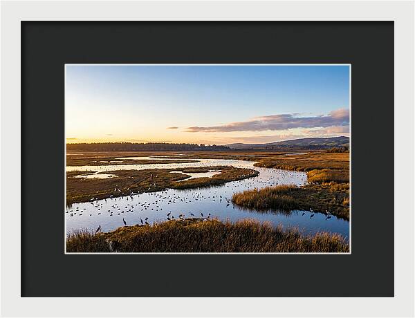 Mingo Wetland Refuge Vista
