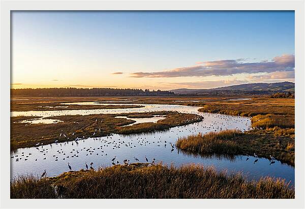Mingo Wetland Refuge Vista