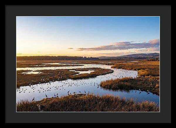 Mingo Wetland Refuge Vista
