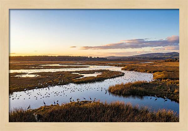 Mingo Wetland Refuge Vista