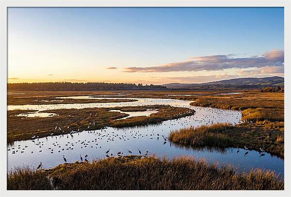 Mingo Wetland Refuge Vista