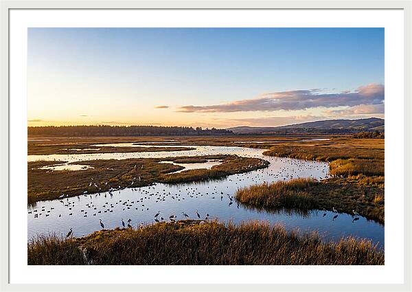 Mingo Wetland Refuge Vista