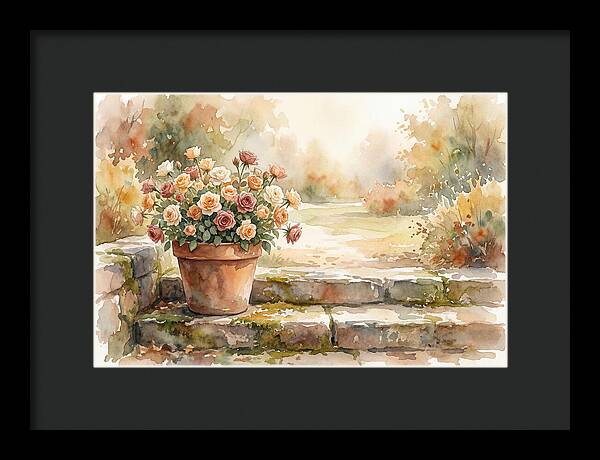Miniature Roses In Terracotta Pot