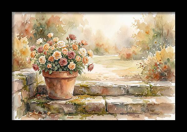 Miniature Roses In Terracotta Pot