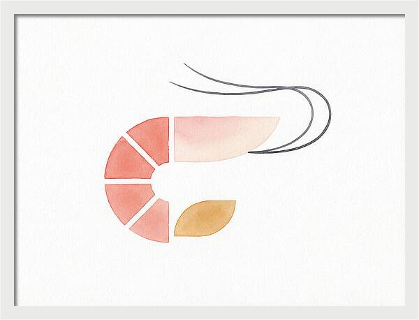 Minimal Shrimp Illustration