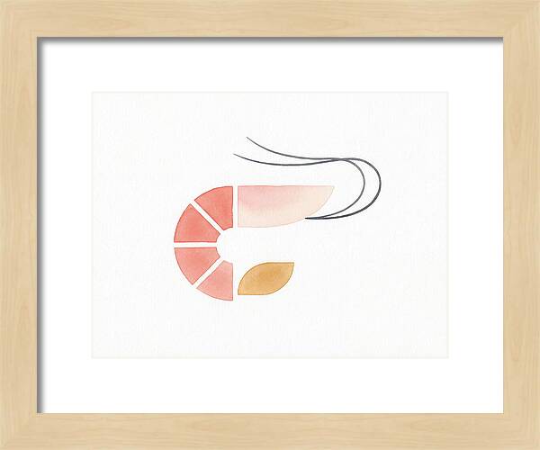 Minimal Shrimp Illustration