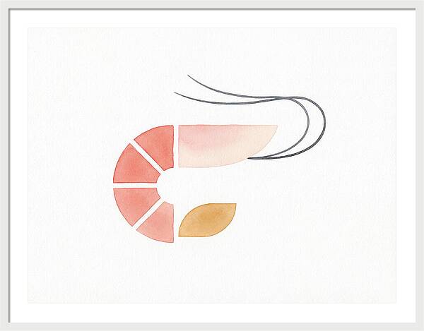 Minimal Shrimp Illustration