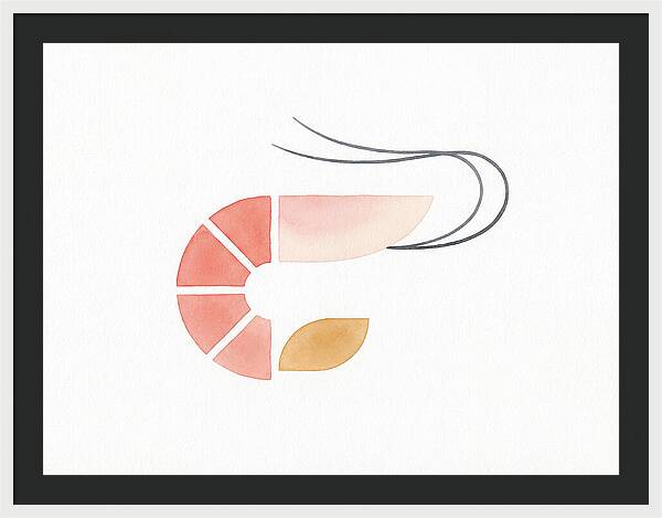 Minimal Shrimp Illustration