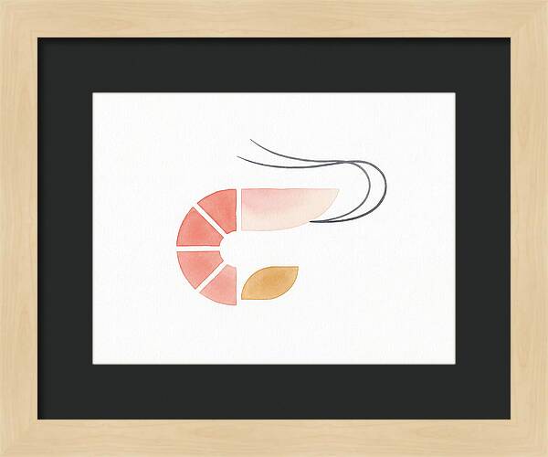 Minimal Shrimp Illustration