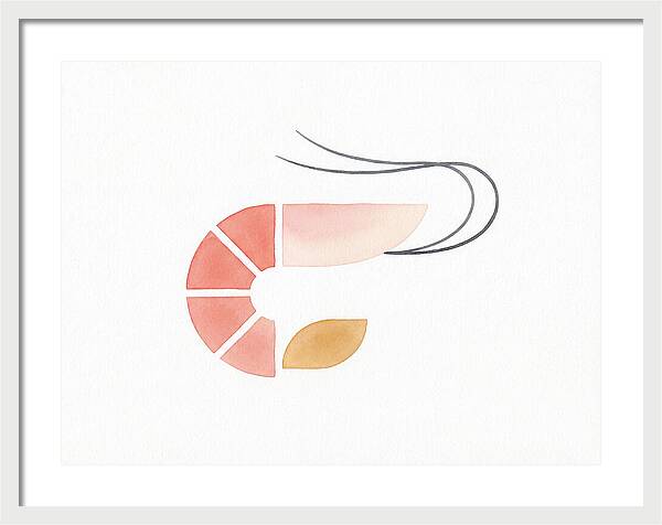 Minimal Shrimp Illustration