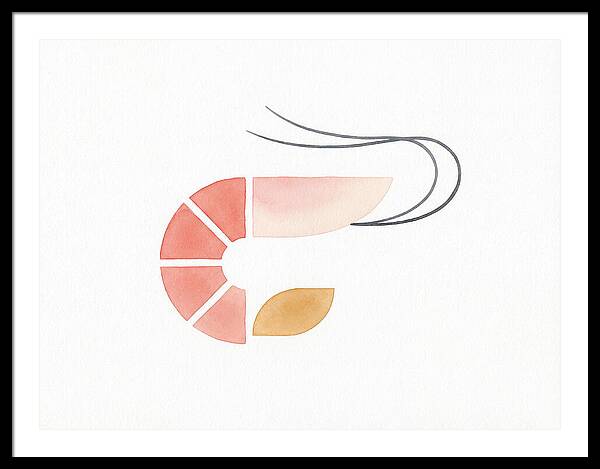 Minimal Shrimp Illustration