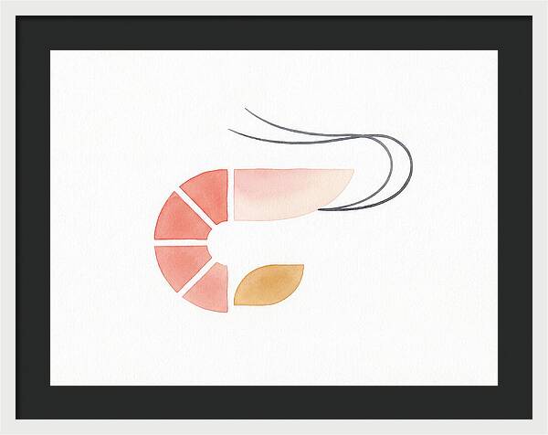 Minimal Shrimp Illustration