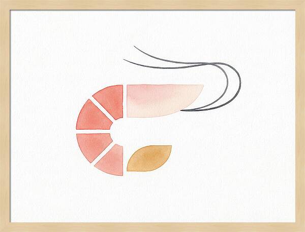 Minimal Shrimp Illustration