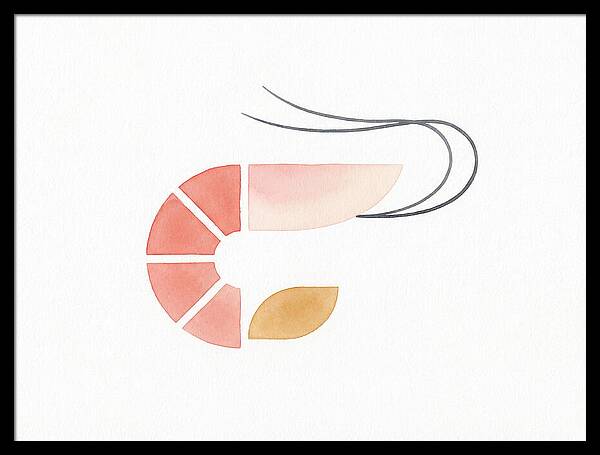 Minimal Shrimp Illustration