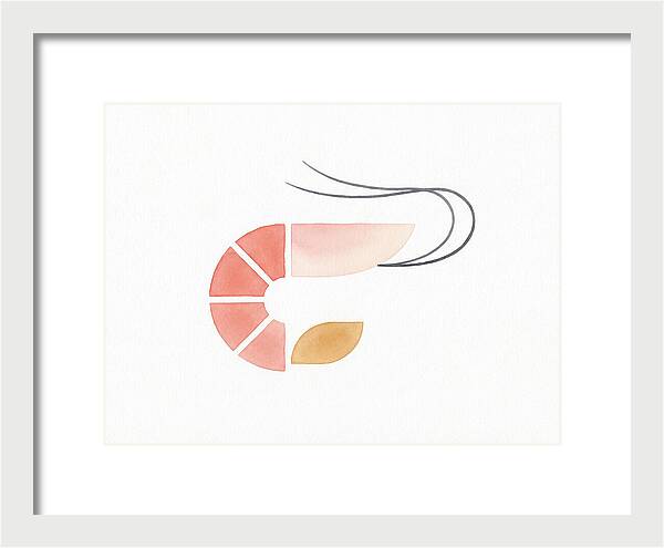 Minimal Shrimp Illustration