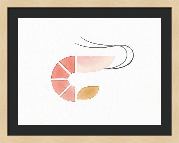 Minimal Shrimp Illustration