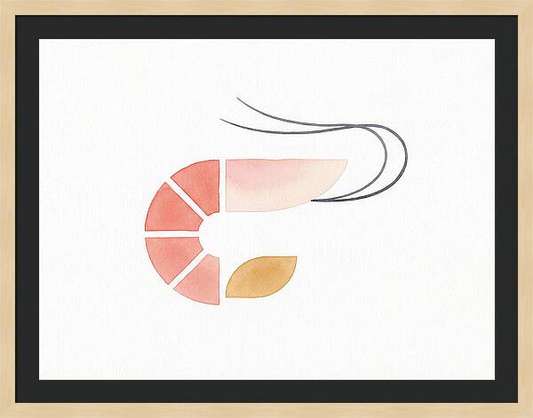 Minimal Shrimp Illustration