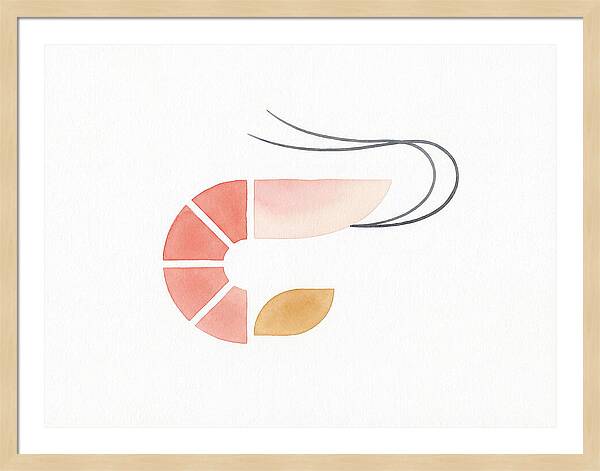 Minimal Shrimp Illustration