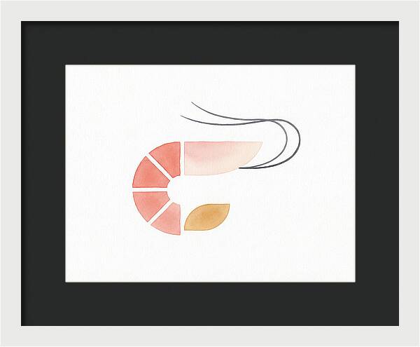 Minimal Shrimp Illustration