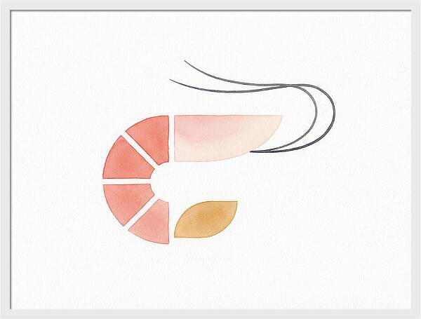 Minimal Shrimp Illustration